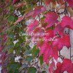 紅葉（もみじ）色、落ち葉色の布やタッセルと季節のフレーム